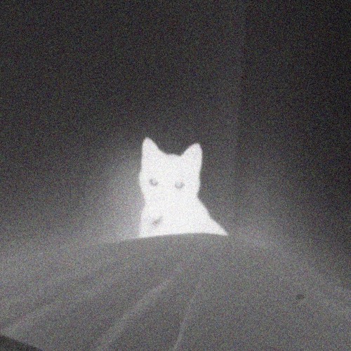 groove/bounce // 19/05/26 techno set ♱ by Blanc.