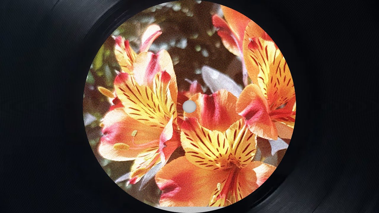 Some tunes I like.
