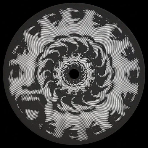 NJ X SONIK | The war of groove