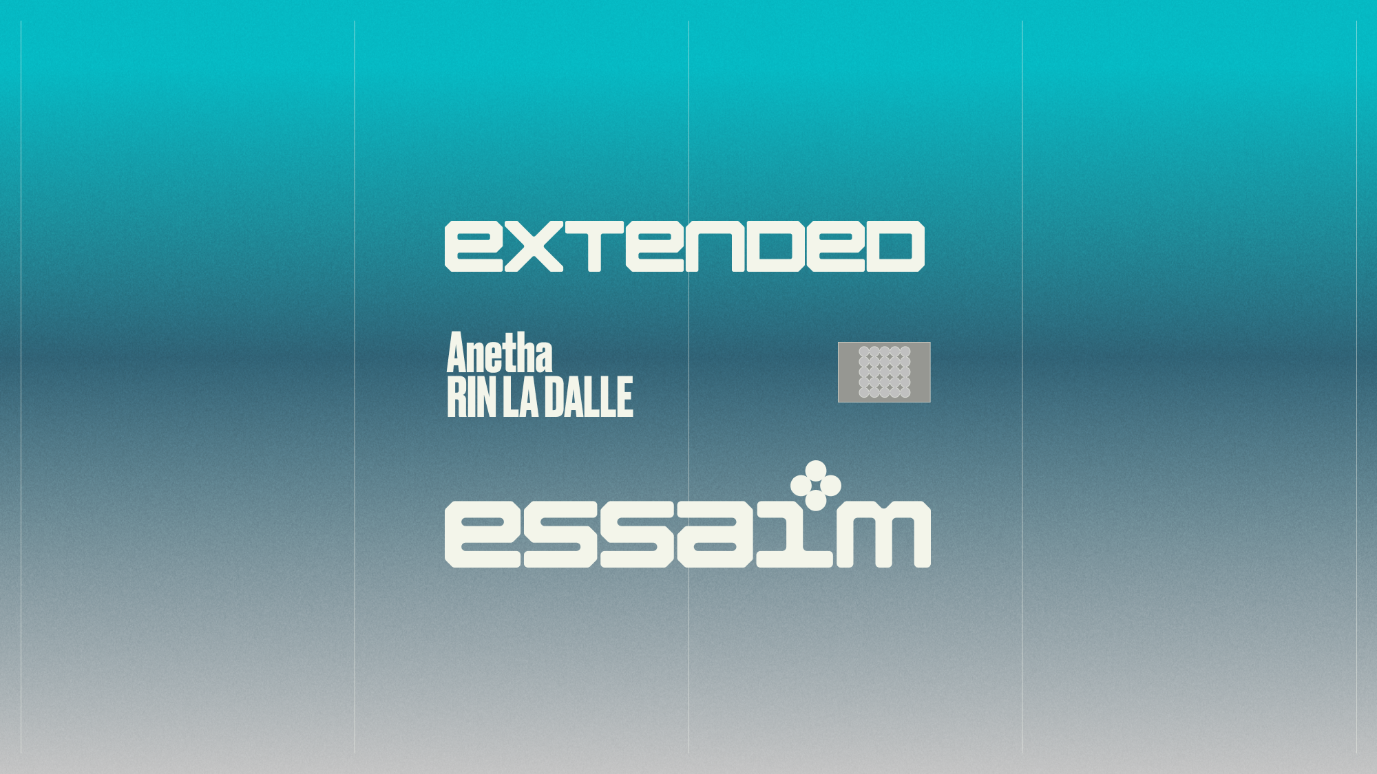 extended - Anetha, RIN LA DALLE poster, essaim, Paris