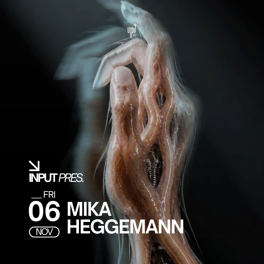 INPUT pres Mika Heggemann