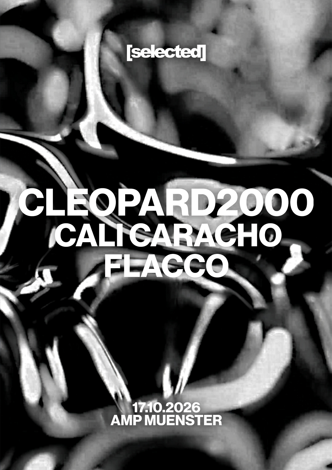 [selected] with Cleopard2000, Cali Caracho, FLACCO poster, Amp, Münster